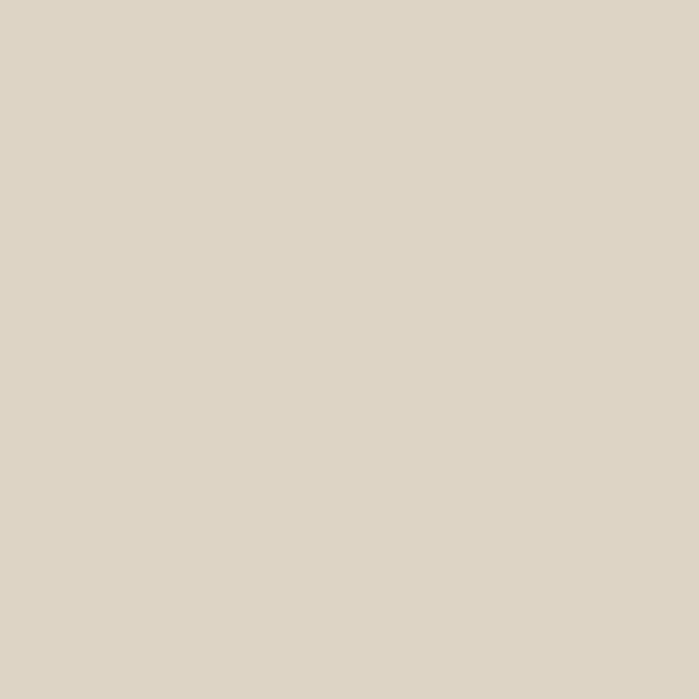 Snowdrift recyceltes Polarfleece Kapuzenpullover - Birke