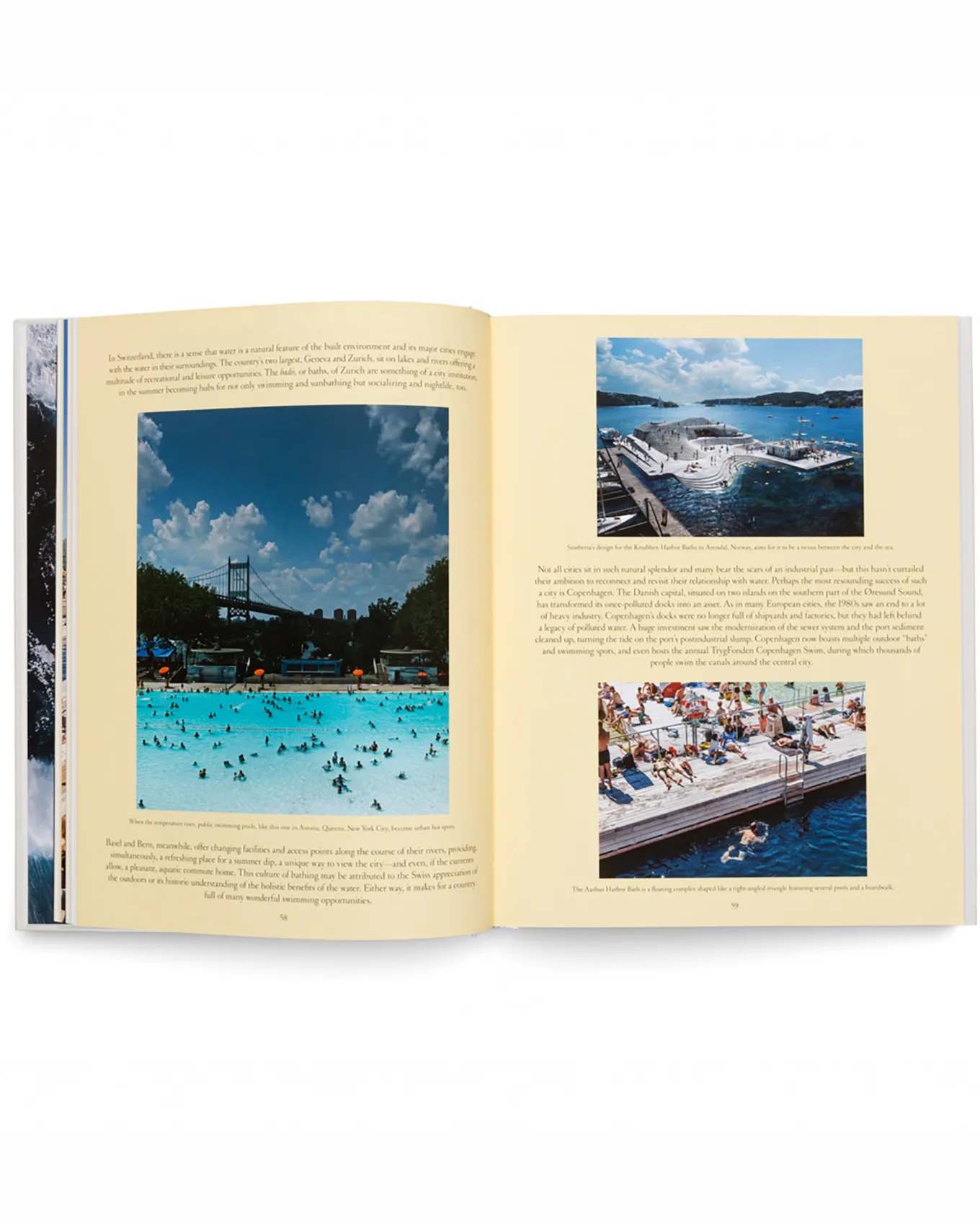 The Nature of Swimming