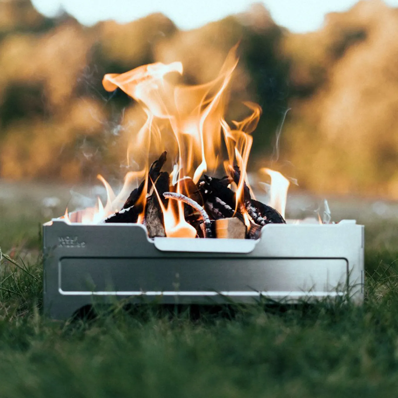 Wolf and Grizzly Feuer Safe - Edelstahl